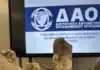 Έφοδος της Διεύθυνσης Οργανωμένου Εγκλήματος σε σπίτι 71χρονου – Έκρυβε αμφορείς, αρχαία νομίσματα και όπλα