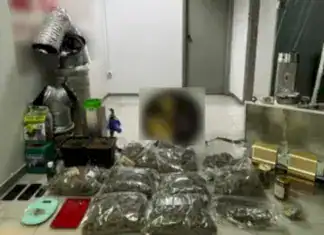 Μπλόκο της ΕΛ.ΑΣ. σε «κρυφό» εργαστήριο υδροπονικής κάνναβης στην Κινέτα – Δύο συλλήψεις και κατάσχεση 5 κιλών χασίς (βίντεο)