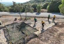 2ο Κατασκηνωτικό Πρόγραμμα (Summer Campus) της ΣΣΕ