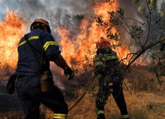 Π.Ο.Ε.Υ.Π.Σ.: ΔΑΣΙΚΟ ΕΠΙΔΟΜΑ – Η ελάχιστη ένδειξη αναγνώρισης του μεγάλου μας αγώνα