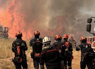 Οι Έλληνες πυροσβέστες επιχειρούν καθημερινά στα πύρινα μέτωπα της Νότιας Γαλλίας