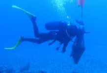 ΥΠΠΟ: Εντοπισμός αρχαίου ναυαγίου στη νήσο Άνδρο