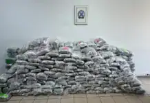 Διεθνές κύκλωμα ναρκωτικών «έσπασε» στη Θεσσαλονίκη: Έκρυβαν 324 κιλά κάνναβης σε δέματα ανακύκλωσης χαρτιού (βίντεο)