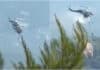 Σύγκρουση πυροσβεστικών ελικοπτέρων στην Ψάθα: Δύο ελαφρά τραυματίες και δύο χωρίς τις αισθήσεις τους