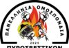 Πανελλήνια Ομοσπονδία Πυροσβεστικών Υπαλλήλων Ιδιωτικού Δικαίου: Πάνω από 800 πυροσβέστες στο δρόμο – Ο αγώνας μας έφτασε στη Βουλή