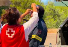 Ο Ελληνικός Ερυθρός Σταυρός προτείνει 10 βασικές συμβουλές για προστασία μετά από πυρκαγιά (βίντεο)