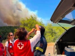 Ο Ελληνικός Ερυθρός Σταυρός προτείνει 10 βασικές συμβουλές για προστασία μετά από πυρκαγιά (βίντεο)