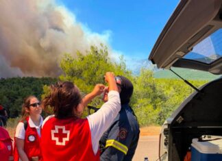 Ο Ελληνικός Ερυθρός Σταυρός προτείνει 10 βασικές συμβουλές για προστασία μετά από πυρκαγιά (βίντεο)
