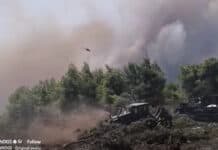 Στην κοινή προσπάθεια για την αντιμετώπιση των πυρκαγιών οι Ένοπλες Δυνάμεις (βίντεο)