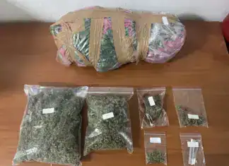 Κατερίνη: Σύλληψη για χασισοφυτεία και κατοχή ναρκωτικών