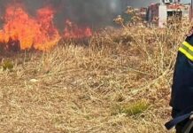 Δύο συλλήψεις για πρόκληση πυρκαγιών σε Αττική και Εύβοια