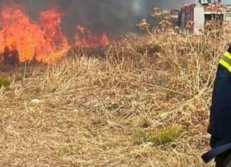 Δύο συλλήψεις για πρόκληση πυρκαγιών σε Αττική και Εύβοια
