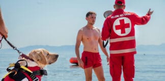Ε.Ε.Σ.: Η Ήρα, ο πρώτος πιστοποιημένος διασωστικός σκύλος υγρού στοιχείου στην Ελλάδα (βίντεο)
