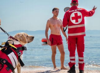 Ε.Ε.Σ.: Η Ήρα, ο πρώτος πιστοποιημένος διασωστικός σκύλος υγρού στοιχείου στην Ελλάδα (βίντεο)