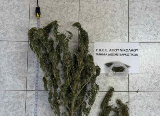 Δύο συλλήψεις σε Άγιο Νικόλαο και Χανιά για υποθέσεις ναρκωτικών – Τι βρήκε η ΕΛ.ΑΣ.