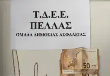 Πέλλα: Τρεις συλλήψεις για απάτη «μαμούθ» με δόλωμα… διαρροή ρεύματος – Επέστρεψαν μέρος της λείας