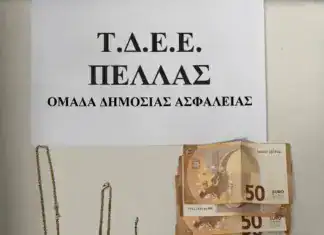 Πέλλα: Τρεις συλλήψεις για απάτη «μαμούθ» με δόλωμα… διαρροή ρεύματος – Επέστρεψαν μέρος της λείας