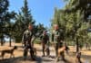 Αξιολόγηση Κυναρίων του ΚΕΦΣΚΥ