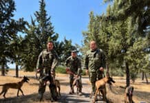 Αξιολόγηση Κυναρίων του ΚΕΦΣΚΥ
