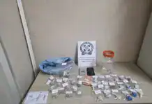 Χειροπέδες σε άνδρα στην Πέλλα για διακίνηση και καλλιέργεια κάνναβης – Τι εντόπισαν οι αρχές