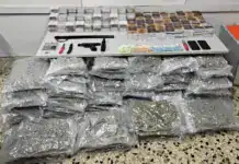 Καβάλα: Εξάρθρωση κυκλώματος εισαγωγής ναρκωτικών από την Ισπανία – Κατασχέθηκαν πάνω από 174 κιλά κάνναβης (βίντεο)