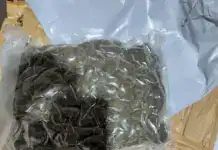 Σύλληψη 29χρονου στα Τρίκαλα για διακίνηση κοκαΐνης και κάνναβης μέσω ταχυδρομικών δεμάτων