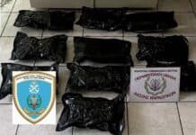 Σύλληψη 32χρονου Σουηδού για εισαγωγή κοκαΐνης και skunk αξίας άνω των 380.000 ευρώ